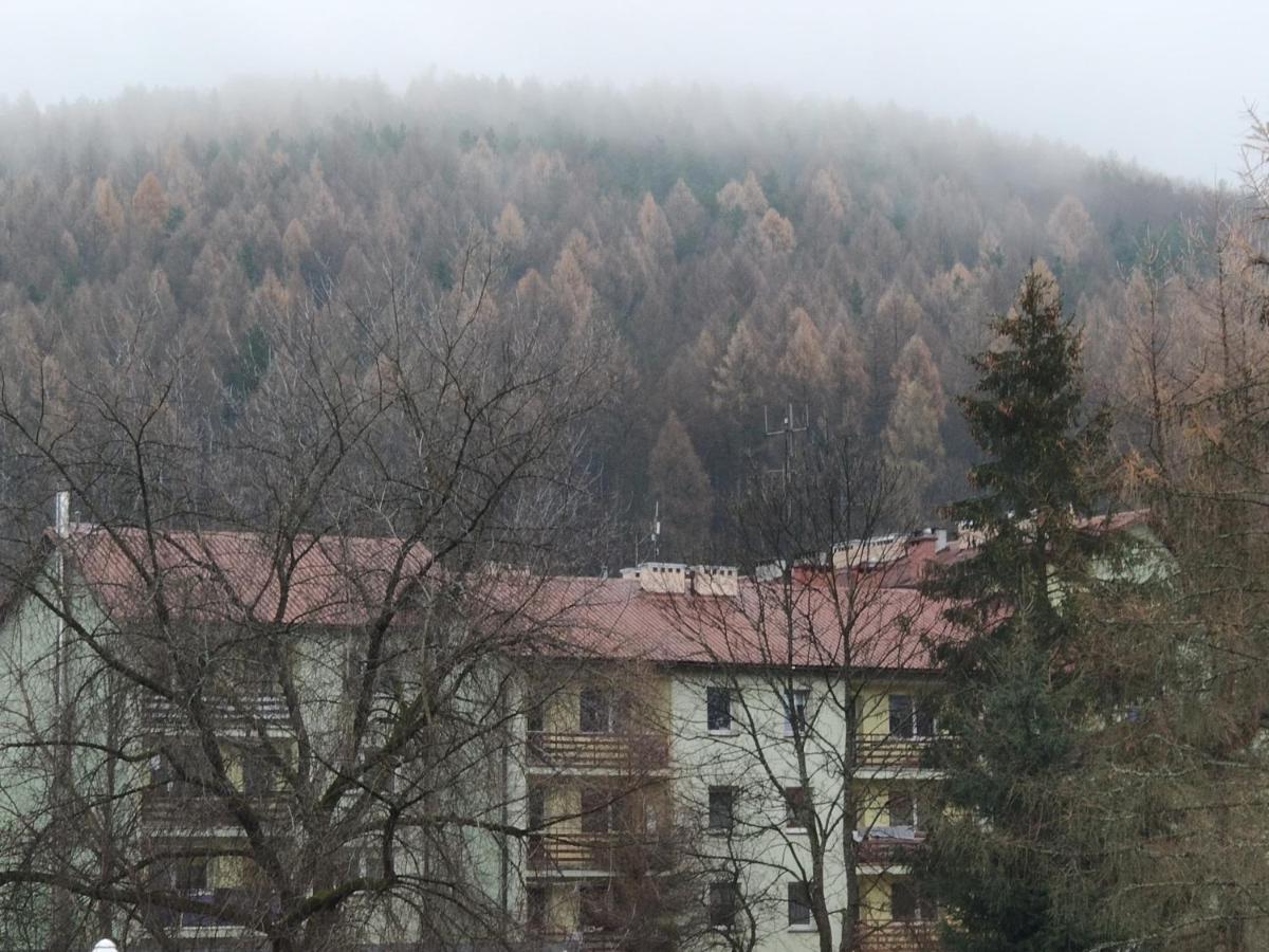 Apartament Wataha Ustrzyki Dolne Exteriör bild